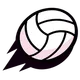 Volley Brawl