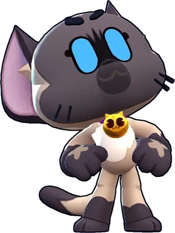 Starr Nova skin Siamese